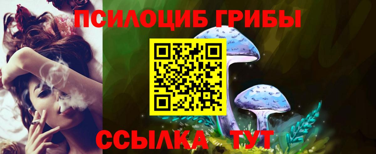 Галлюциногенные грибы Psilocybe Балаково
